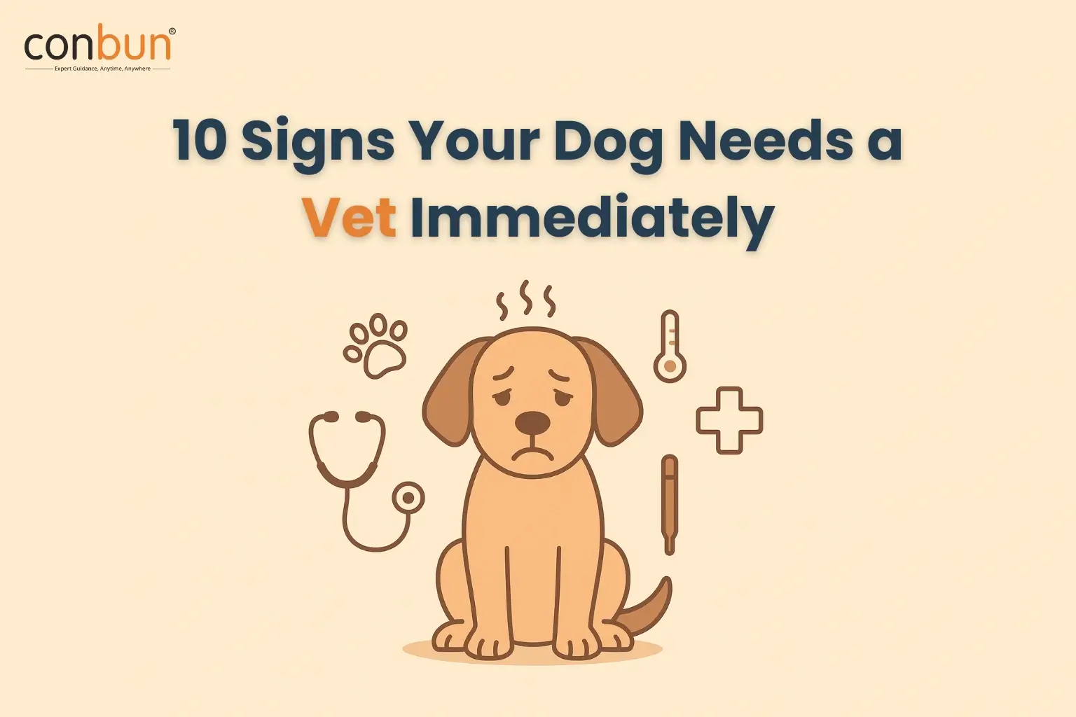 10 Signs Your Dog Needs a Vet Immediately